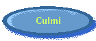 Culmi