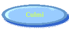 Culmi